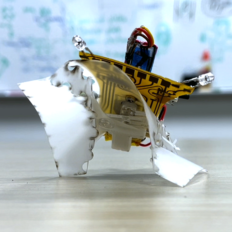 CurveQuad: A Centimeter-Scale Origami Quadruped that Leverages Curved Creases to Self-Fold and Crawl with One Motor 